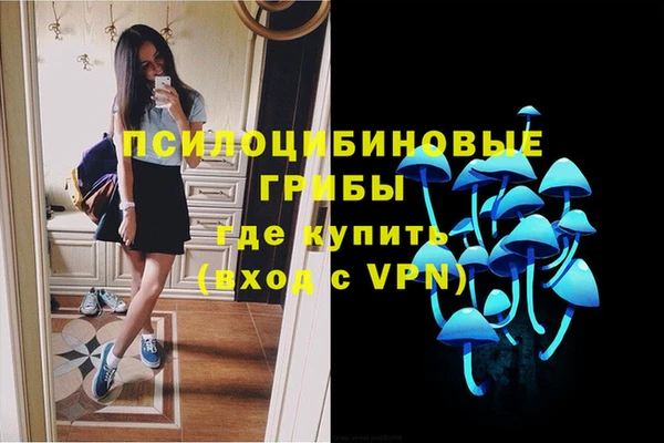 спиды Кинешма