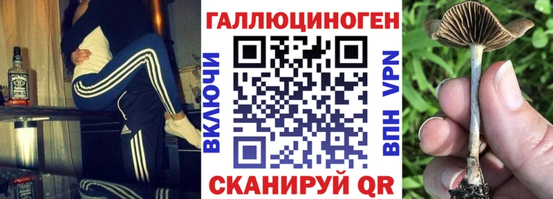 Купить закладки  Валдай  Псилоцибиновые грибы мицелий 