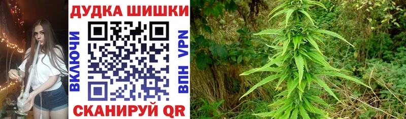 Канабис Amnesia  Купить где  Валдай 